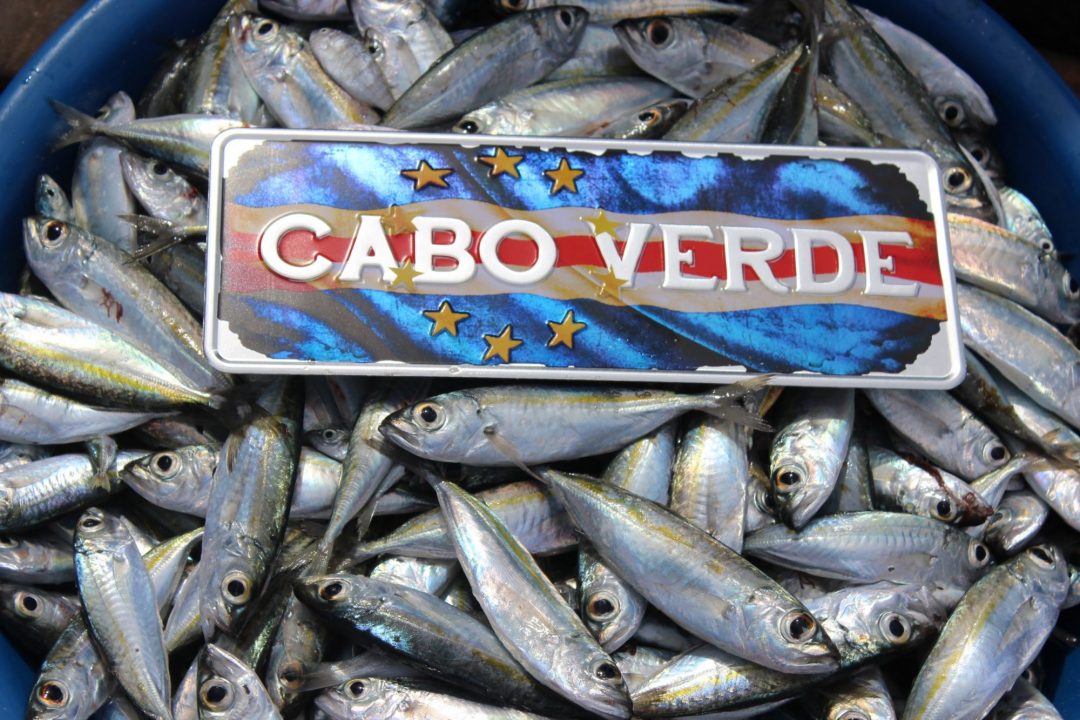 Placa Aluminio Cabo Verde Premium Bandeira Nacional de Cabo Verde - Ocean Plates Placas em Aluminio